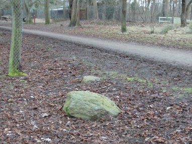 Fortunfortet. Billedet viser stenen med skåltegn's placering på Mandehovedvej i Dyrehaven, ca. 35 meter nord for indgangen til Fortunfortet.