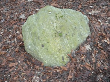 Fortunfortet. Nærbillede af stenen med skåltegn på Mandehovedvej i Dyrehaven, ca, 35 meter nord for indgangen til Fortunfortet. Bemærk mønterne, der er lagt i skåltegnene som "offergave".